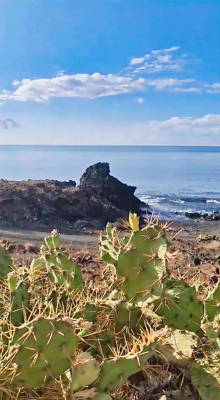 Casa Palmu - A Peaceful And Relaxing Oasis In Golf Del Sur, Tenerife *