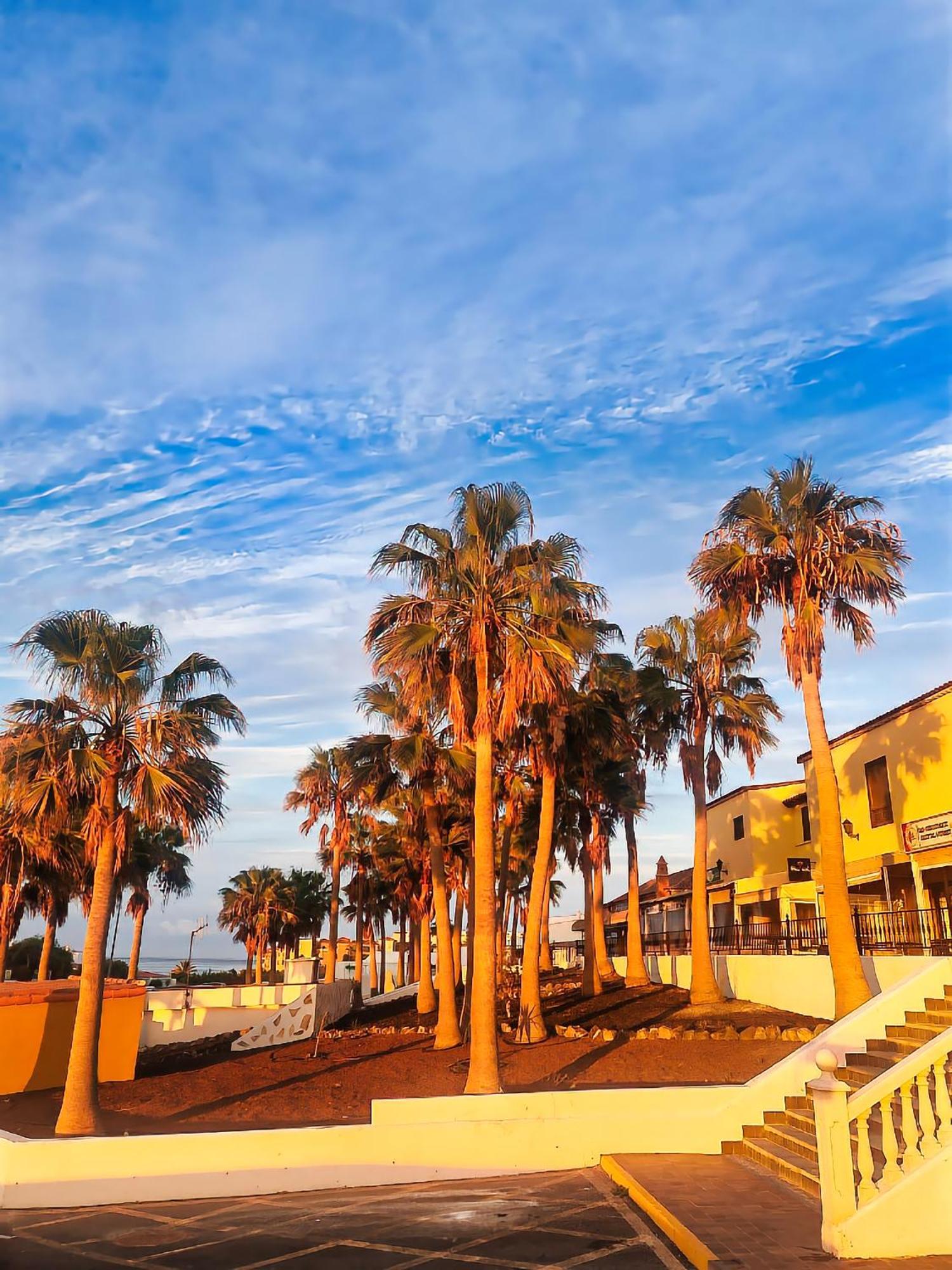 Casa Palmu - A Peaceful And Relaxing Oasis In Golf Del Sur, Tenerife *